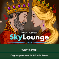 Bonus Dublinbet sur les tables SkyLounge Blackjack